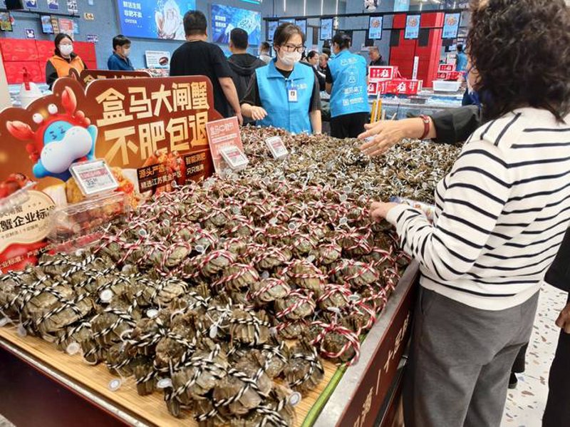 贸易代理行业动态概览与趋势分析